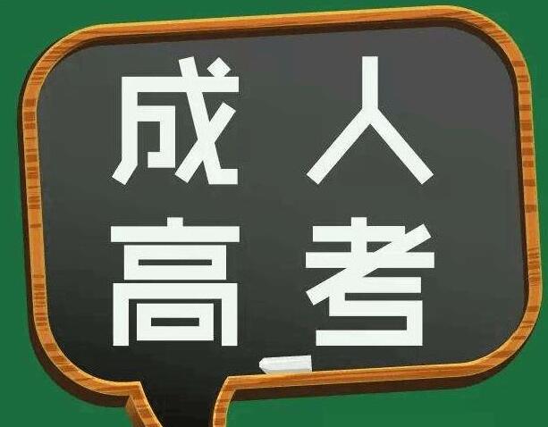 上海成人高考的复习要点有哪些