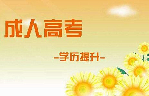 为什么上海成考专升本越来越受欢迎？