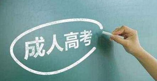 上海专升本机构的优点有哪些？